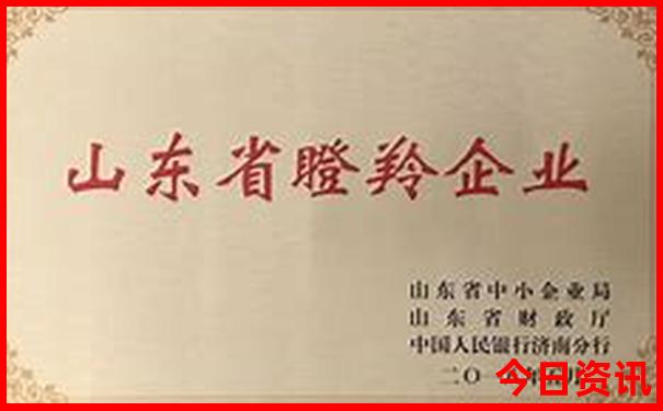 淄博夏天去哪玩比较好